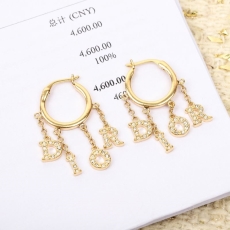 Christian Dior Earrings